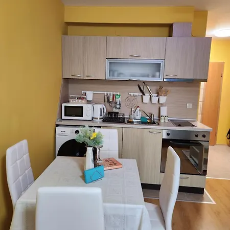 Студио Лазур Apartment Raslog